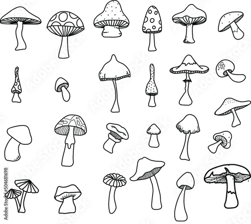 hand drawn mushroom doodle art style