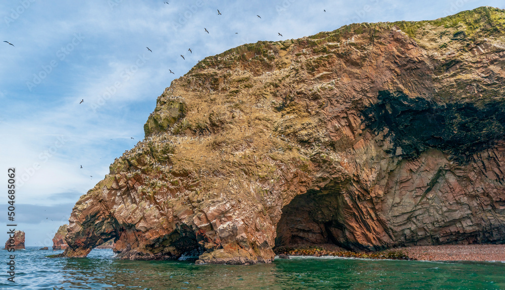 Naklejka premium Islands near Pisco, Peru are a haven for wild birds
