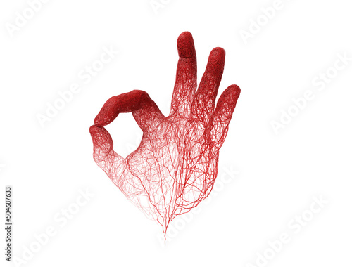 3d hand red blood veins, aorta and capillary knit tangled with hand symbol form ok on white background. Used in medical anatomy disease or blood donation. artery with clipping path. 3D Illustration. photo