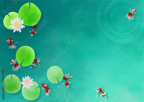 睡蓮の浮かぶ池で泳ぐ複数の赤い金魚