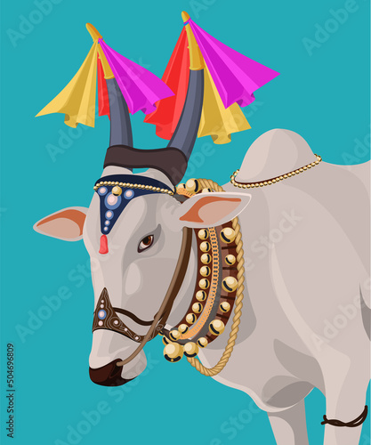 Ox is decorated with various stuff for festivals in India