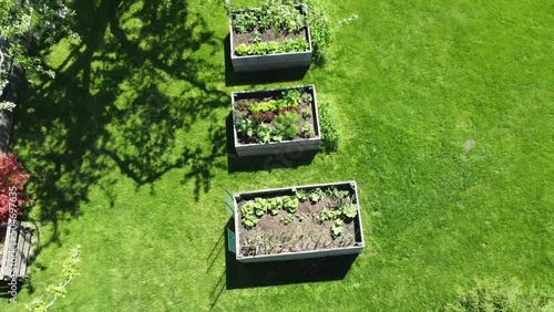 video of aerial drone top down view on stylish garden with vegetable bed surrounded by green fresh lawn and trees 