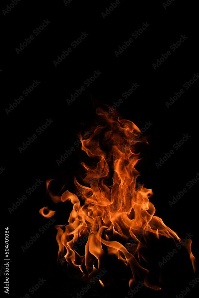 Fototapeta premium Blaze burning fire flame on art texture background.