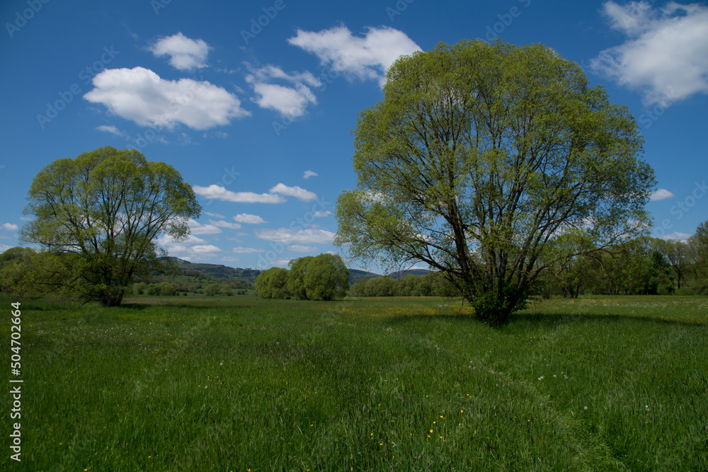 Landscape view near the german village called Hallenberg Landscape view near the german village called Hallenberg