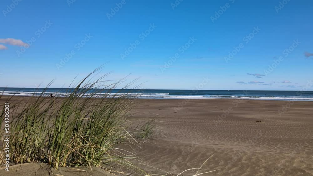 Black Sand Beach with surfers enjoying the summer sun Black Sand Beach with surfers enjoying the summer sun