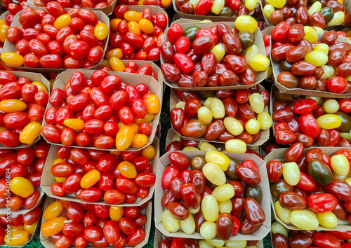 Assortment of different organics cherry tomatoes sold at city market © vadiml