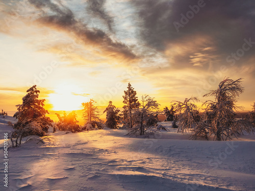 Amazing dawn landscape with a winter polar forest and bright sunlight. Sunrise, sunset in a beautiful snow-covered forest. Wonderful harsh nature of the north in the winter dawn. Light and darkness.