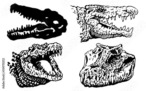 Graphical  set of crocodiles isolated on white background, vector illustration