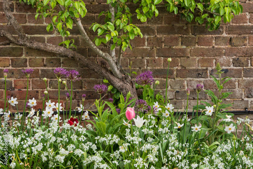 Beautiful Spring landscape image of typical English country garden scene vignette