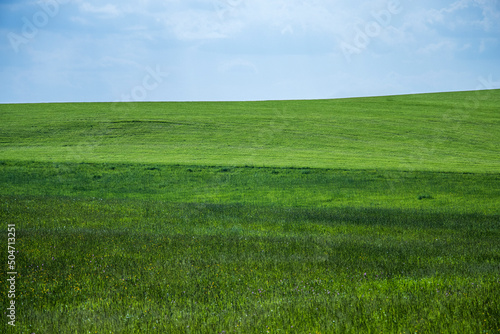 Windows bliss background,  sloping hilly green field