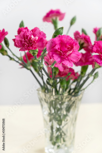 Glass vase with bunch of pink carnation flowers