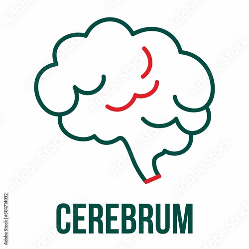Cerebrum icon. Human brain icon. Mind, psychology and medical neurology sign