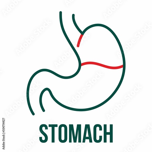 Stomach icon. Gastroenterology clinic. Medical and health icon on white background. Editable vector stroke.