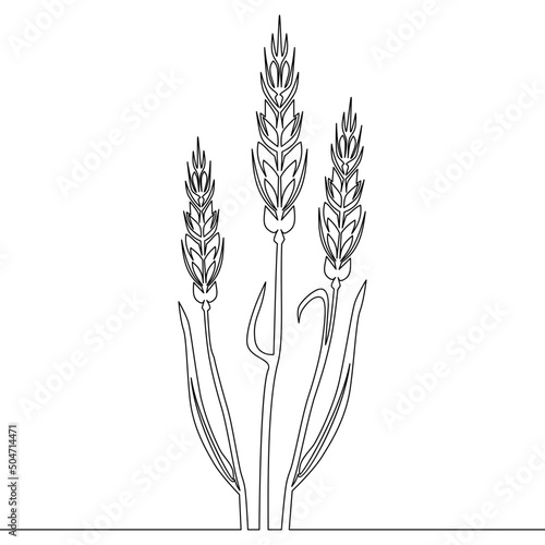 Continuous line drawing Ears of wheat concept