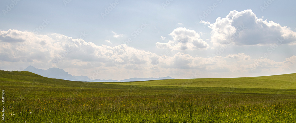 Windows bliss background, sloping hilly green field Windows bliss background, sloping hilly green field