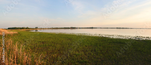 The evening falls on a pond, fantastic landscape close to Lukino Selo and Zrenjanin, Serbia