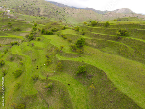 Agricultural terraces