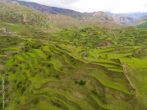 Agricultural terraces