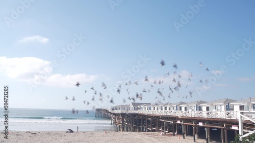 Wooden Crystal pier and white cottages, California ocean beach, USA. Summer vacation beachfront houses on Mission beach, San Diego shore. White homes and bids flying, waterfront bungalows on sea coast