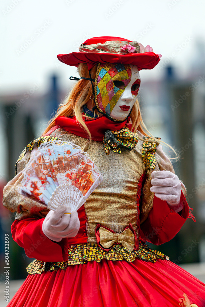 Portrait of an Incognito man in a carnival costume