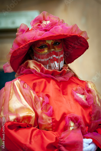Portrait of an Incognito man in a carnival costume