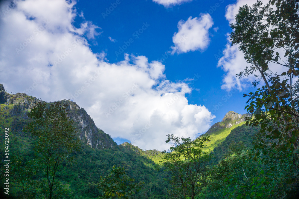 Green tropical mountain forest with tree againt blue sky with cloud