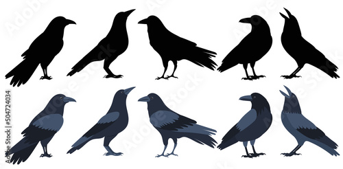 crows set silhouette, on white background, isolated, vector
