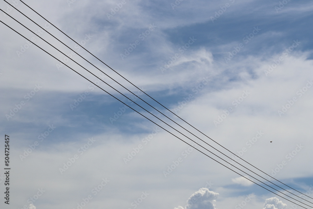 Fototapeta premium The blue clear sky and transmission lines