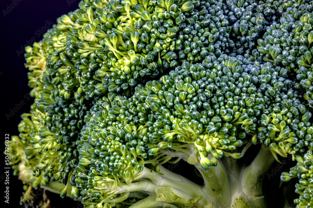 closeup broccoli for background shot using studio lighting closeup broccoli for background shot using studio lighting