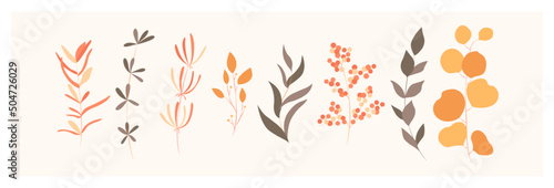 Set of leaves  flowers  plants. Floral wedding objects  botanical foliage. Elegant herbal spring illustration  vector