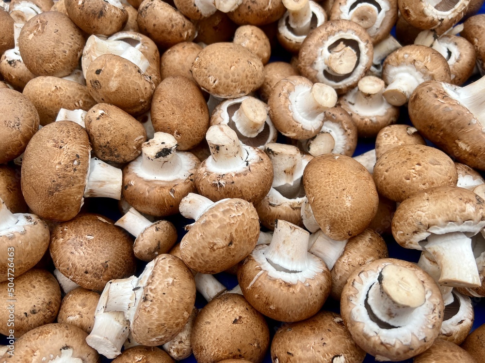 heap of mushrooms on farmers market, as a background heap of mushrooms on farmers market, as a background