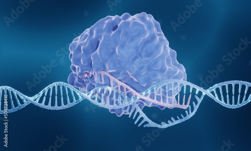 Bilde på lerret CRISPR-Cas9 genome editing enzyme