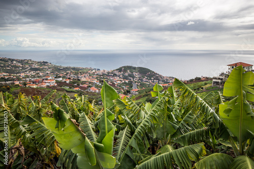 Madeira with banana plantage and atlantic ocean view