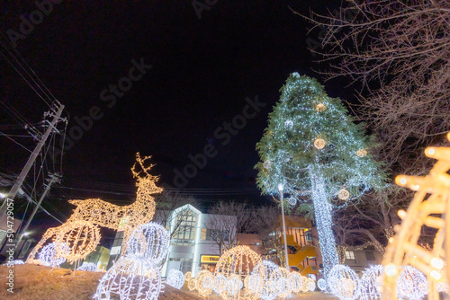 クリスマスツリーとトナカイのイルミネーション