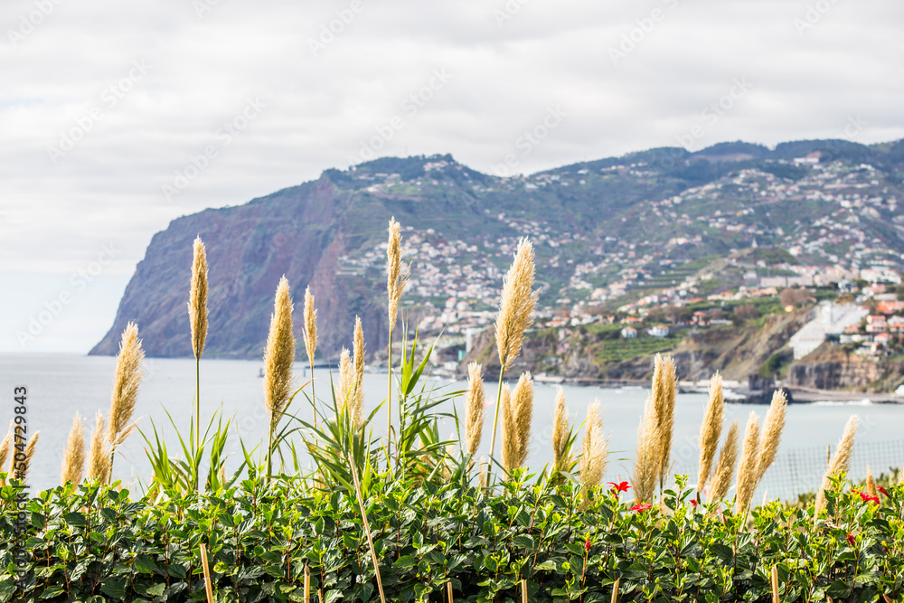 Fototapeta premium Madeira mountains island with ocean