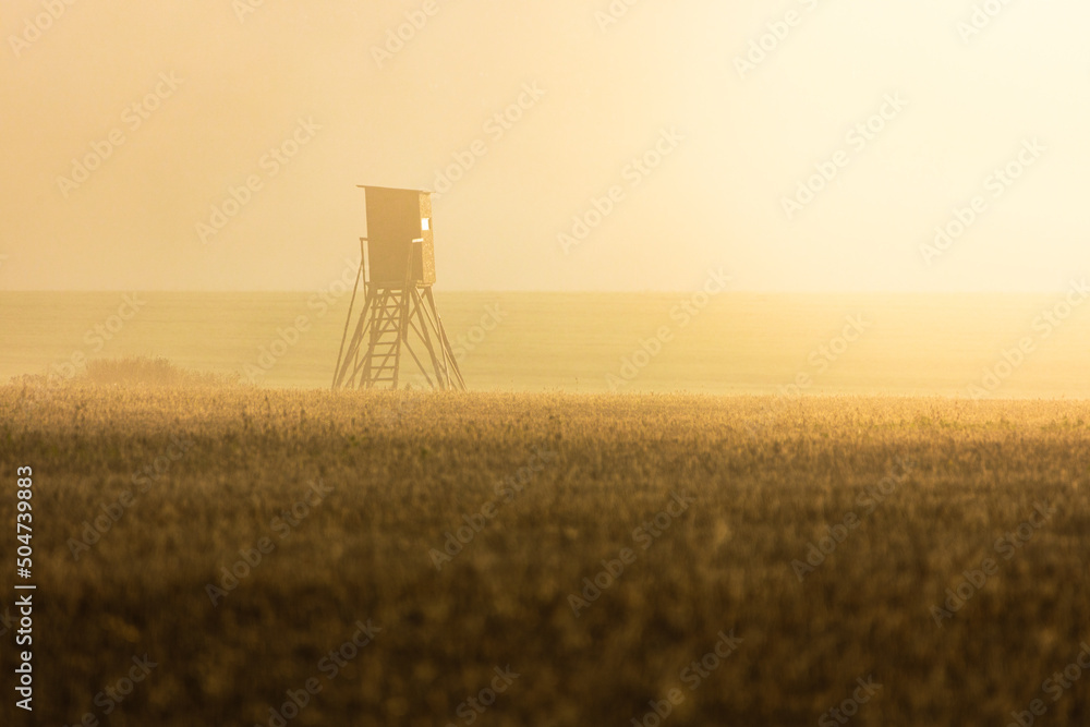 hunting tower at sunrise, which is photographed in the field near the village of Staré sedlo in southern Bohemia at sunrise and morning fog.
