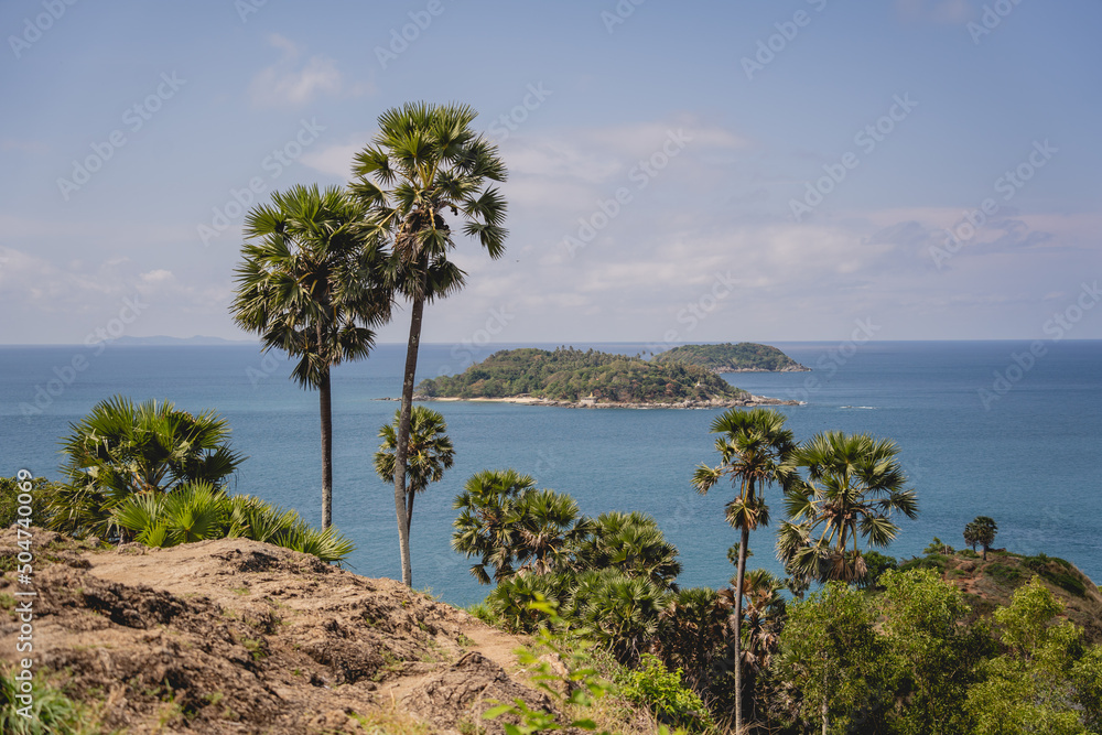 Beautiful mountains with palms landscape in the ocean