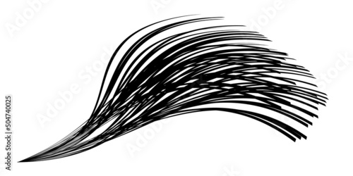 Waving flag as a brush stroke with zebra texture. Vest striped with fabric Black and white stripes curved in a bizarre way with waves curving along the trajectory
