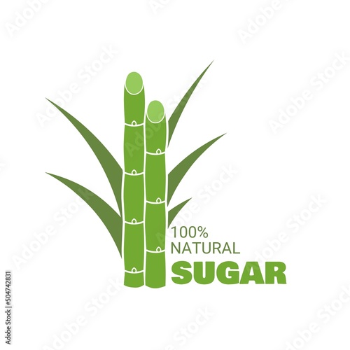 Vector illustration of sugarcane, isolated on white background, suitable as a packaging label for processed sugarcane products.