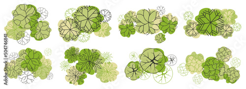 Trees top view. Entourage design. Various trees, bushes, and shrubs, top view for the landscape design plan. Vector illustration.