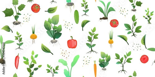 Seedling garden plants with roots and Sunflower seeds. Vegetables fruits. Sowing agricultural material. Seamless pattern. Isolated on white background. Vector