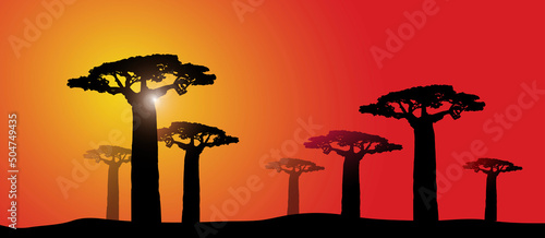 paesaggio, africano, savana, africa