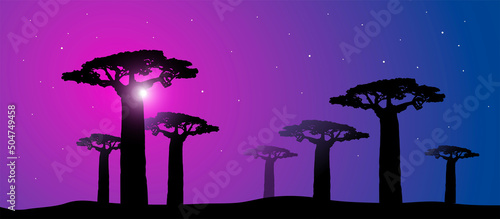 paesaggio, africano, savana, africa