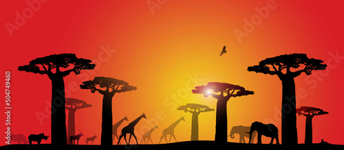 safari, paesaggio, africano, savana, africa