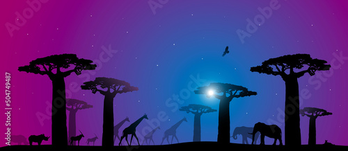safari, paesaggio, africano, savana, africa