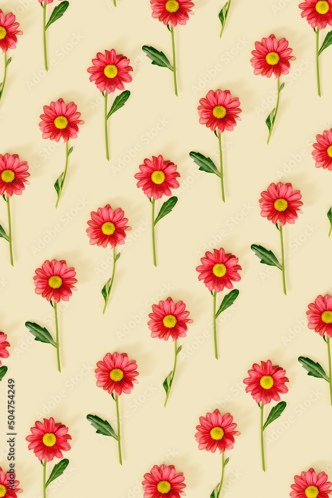 Trend pattern with red simple flowers on beige color background. Summer minimal concept. Chrysanthemum daisy blooming flower. Creative still life summer, floral pattern, nature print design