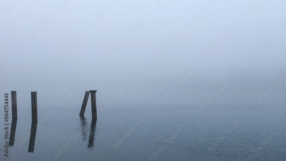 Fototapeta premium piles sticking out of the water in foggy evening nature landscape