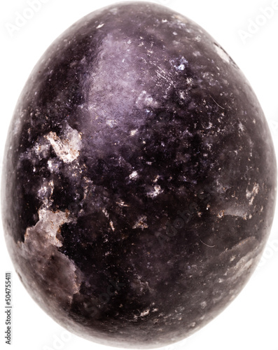 Stone dragon egg