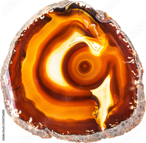 Vibrant Agate Geode slice