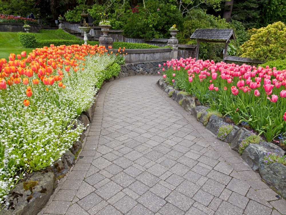 Obraz premium Lush garden blooming in the springtime with tulips, flowerbeds and lawns